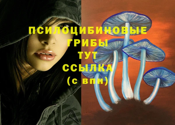 трава Балахна