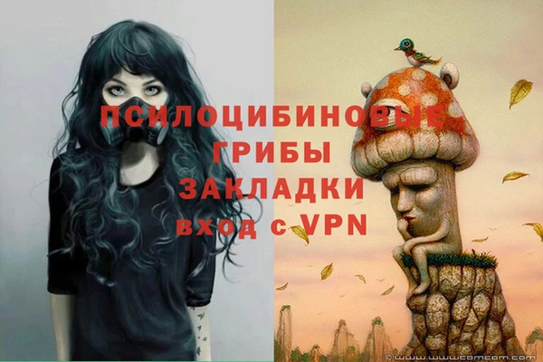 дмт Беломорск