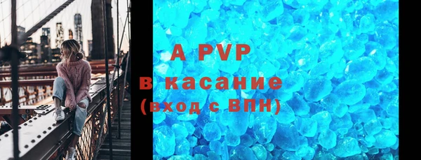 индика Баксан