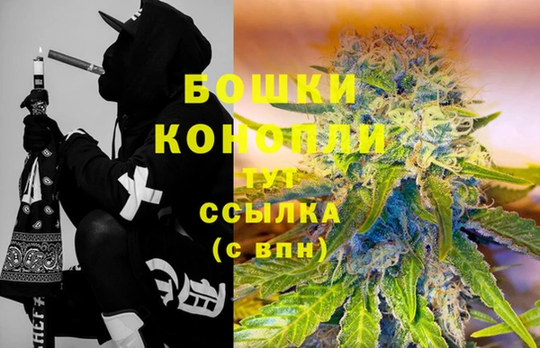 индика Баксан