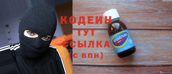 индика Баксан
