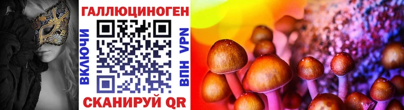 Псилоцибиновые грибы Psilocybe  Кунгур 