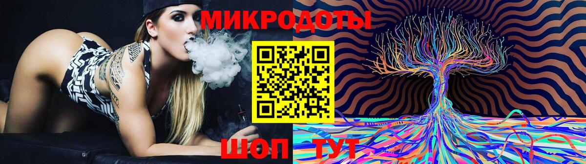 Псилоцибиновые грибы Psilocybe Кунгур